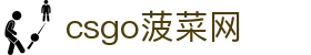 csgo菠菜网(中国区)有限公司官网